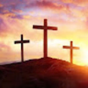 Meet your Posher, Bobbie